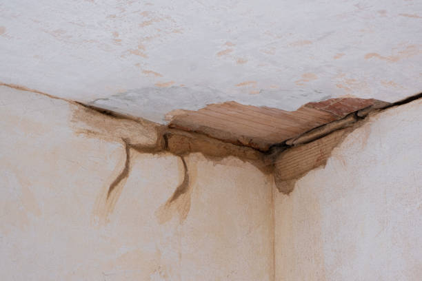Best 24/7 water damage repair  in Hanover, OH