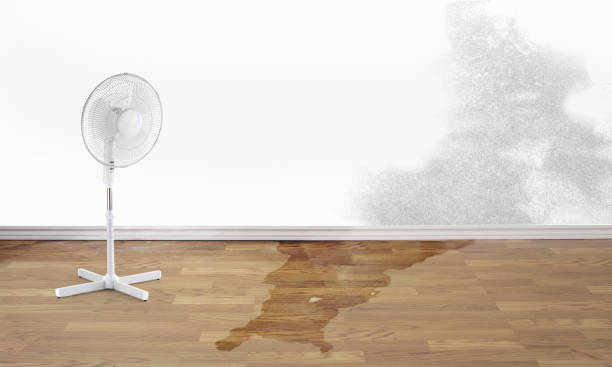 Best Water damage restoration near me  in Hanover, OH