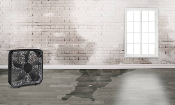  Hanover, OH Water damage restoration Pros