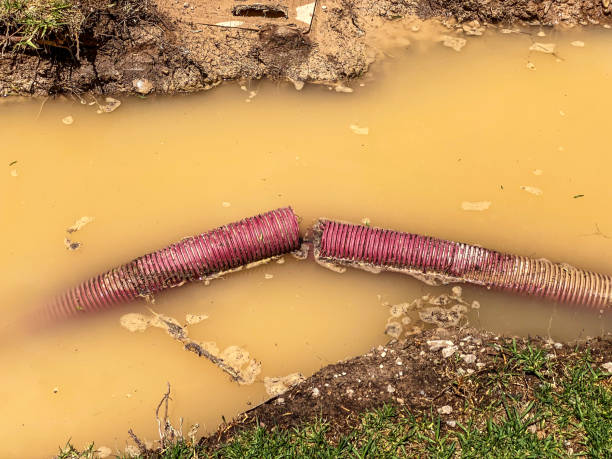 Best Sewage cleanup and water damage restoration  in Hanover, OH